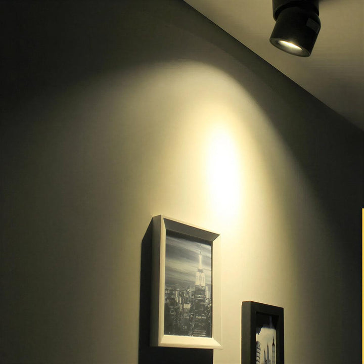 Adjustable Beam Ceiling Mounted Spotlight