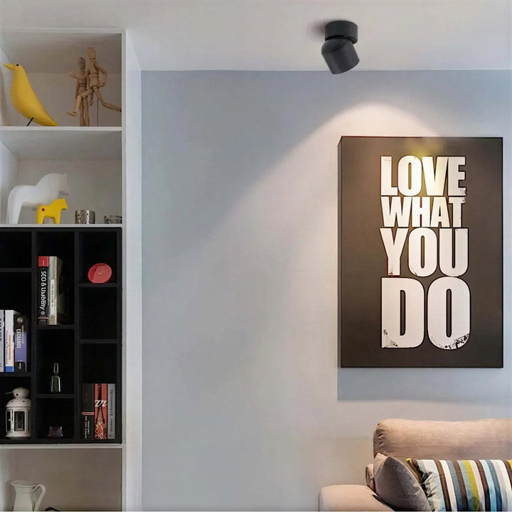 Adjustable Ceiling Mounted Spotlight With Directional Focused Beam