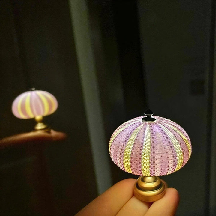 Aesthetic Sea Urchin Table Lamp Night Light