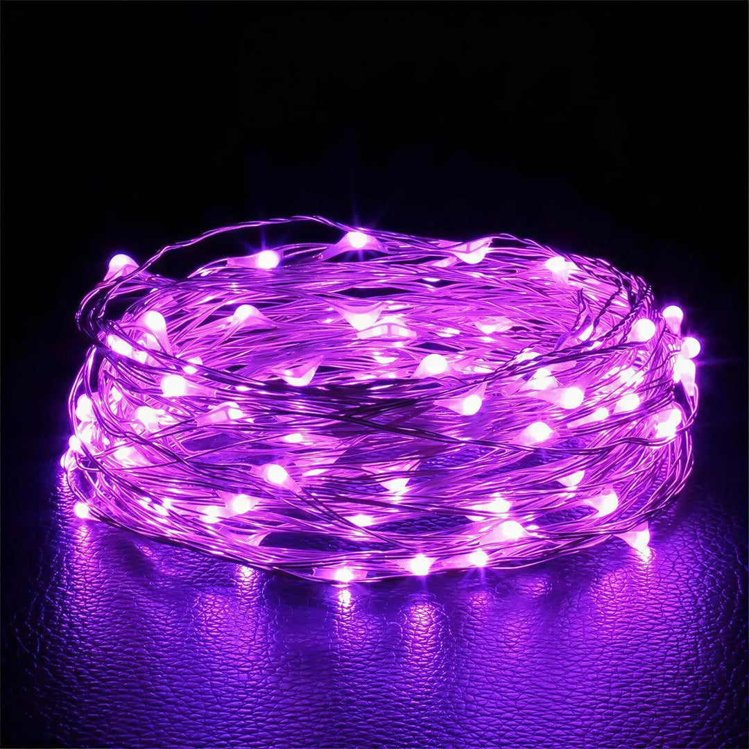 Battery Operated Decorative LED Fairy String Lights