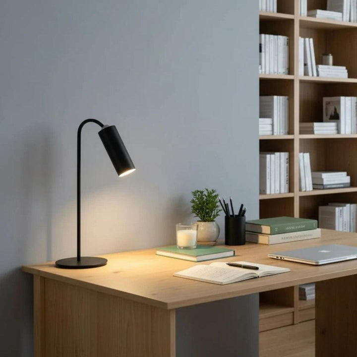 Battery Operated Table Lamp With Adjustable Slim Head Reading Light