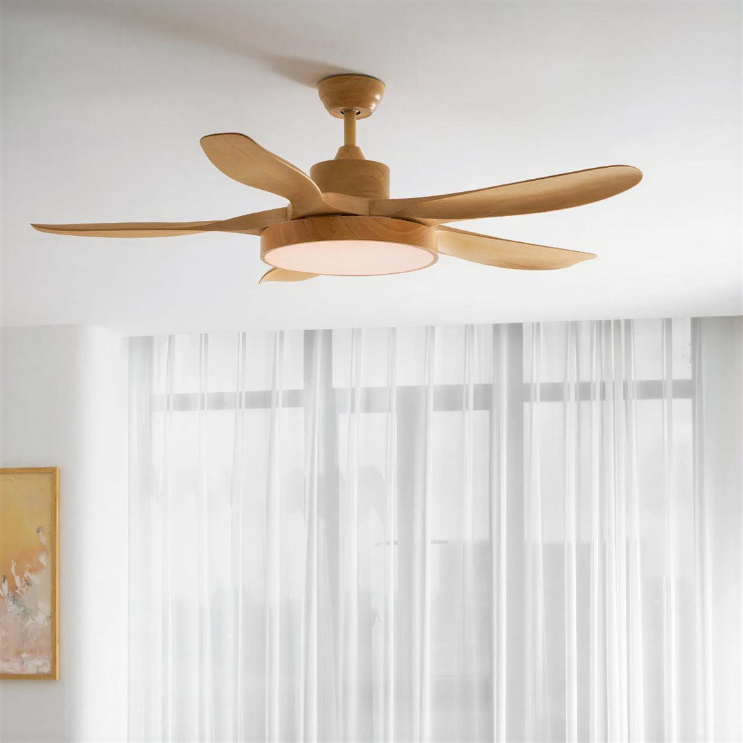 Ceiling Fan Light With Quiet Motor And Remote Control