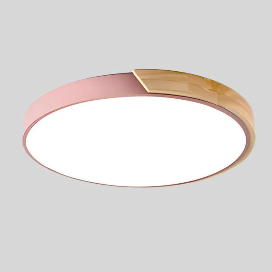 Circular Modern Minimalist Flush Mount Ceiling Light Fixture