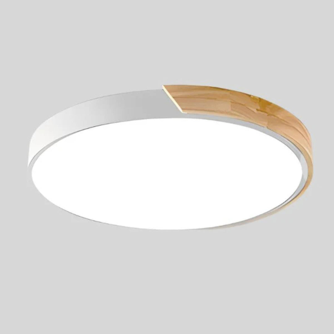 Circular Modern Minimalist Flush Mount Ceiling Light Fixture