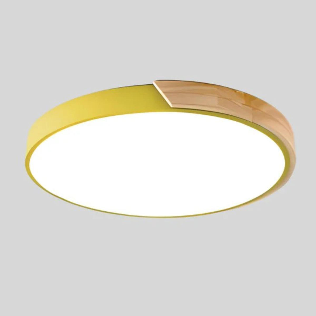 Circular Modern Minimalist Flush Mount Ceiling Light Fixture