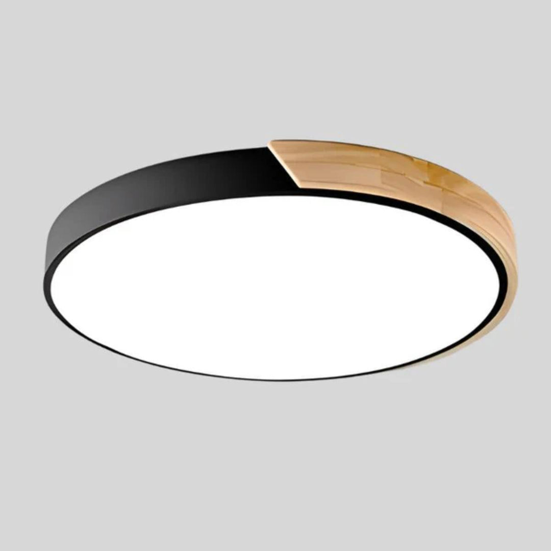 Circular Modern Minimalist Flush Mount Ceiling Light Fixture