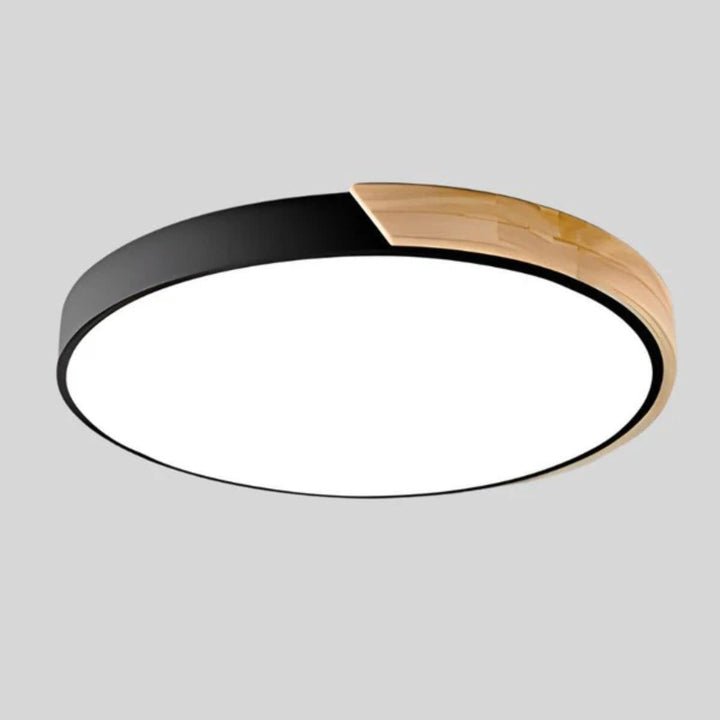 Circular Modern Minimalist Flush Mount Ceiling Light Fixture