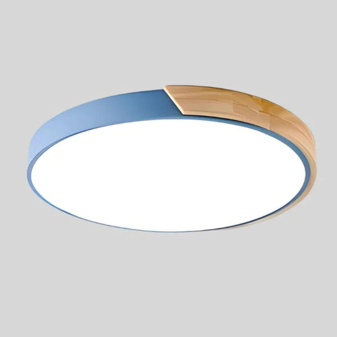 Circular Modern Minimalist Flush Mount Ceiling Light Fixture