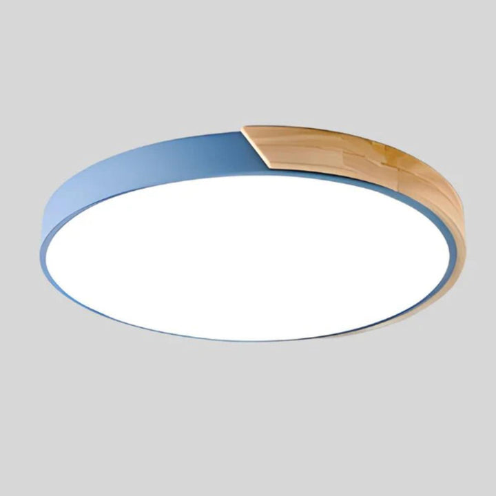Circular Modern Minimalist Flush Mount Ceiling Light Fixture