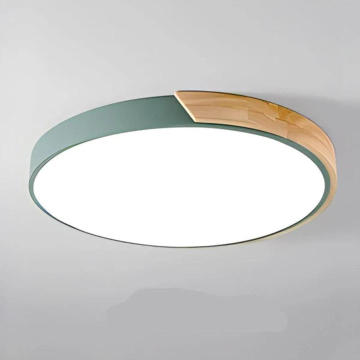 Circular Modern Minimalist Flush Mount Ceiling Light Fixture