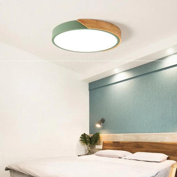 Circular Modern Minimalist Flush Mount Ceiling Light Fixture