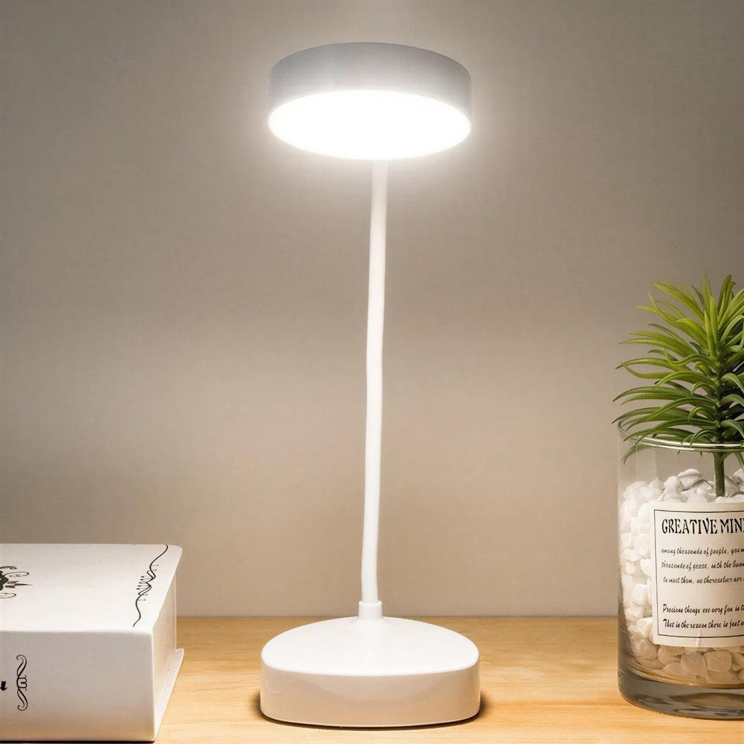 Desk Lamp For Study With Adjustable Gooseneck And Touch Control
