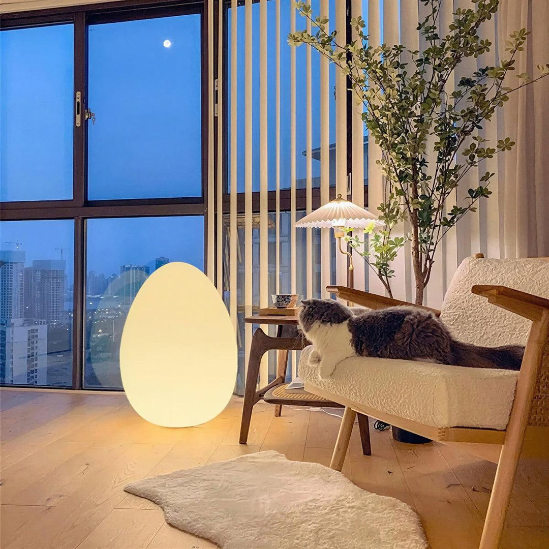 Egg Shaped Floor Lamp