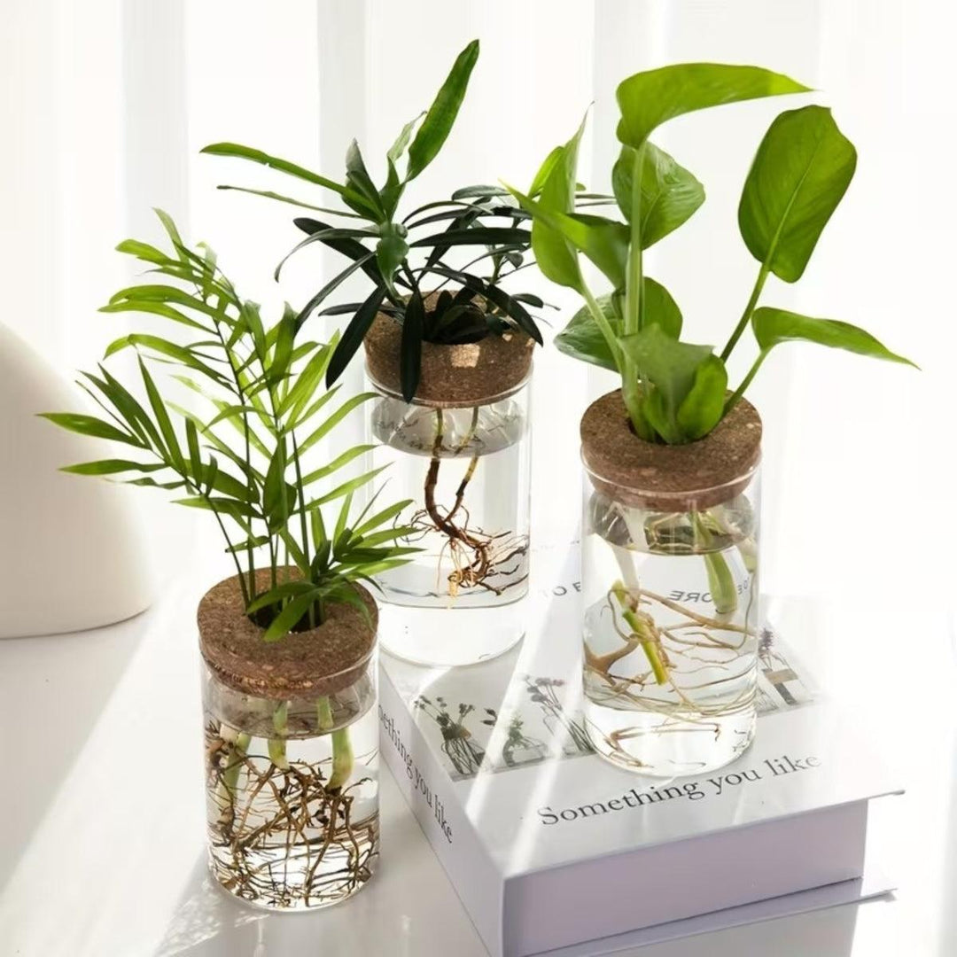 Indoor Planter Hydroponic Propagation Station For Growing Potted Plants Indoors