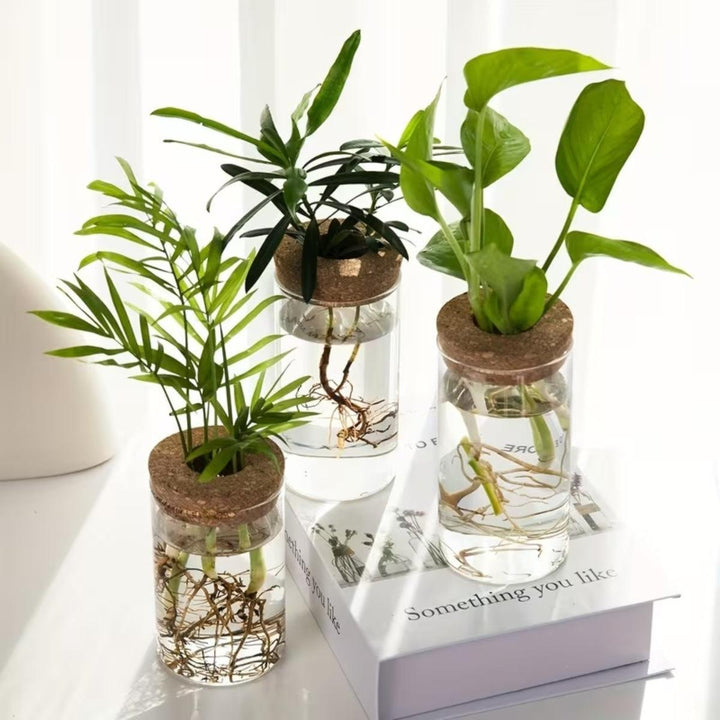 Indoor Planter Hydroponic Propagation Station For Growing Potted Plants Indoors