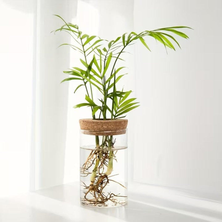 Indoor Planter Hydroponic Propagation Station For Growing Potted Plants Indoors