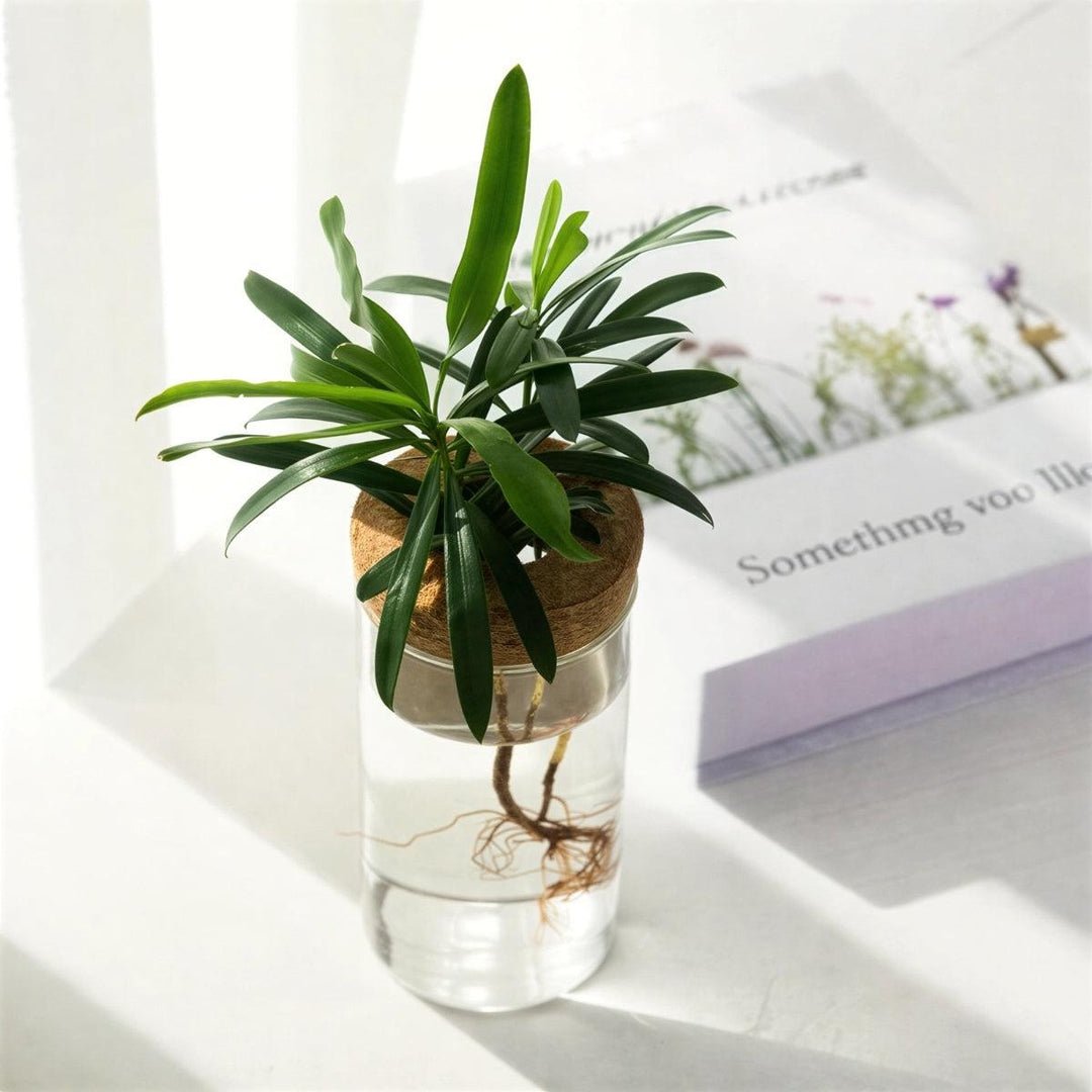 Indoor Planter Hydroponic Propagation Station For Growing Potted Plants Indoors