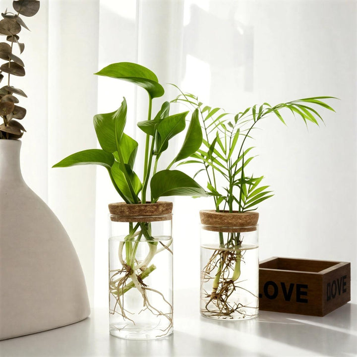 Indoor Planter Hydroponic Propagation Station For Growing Potted Plants Indoors