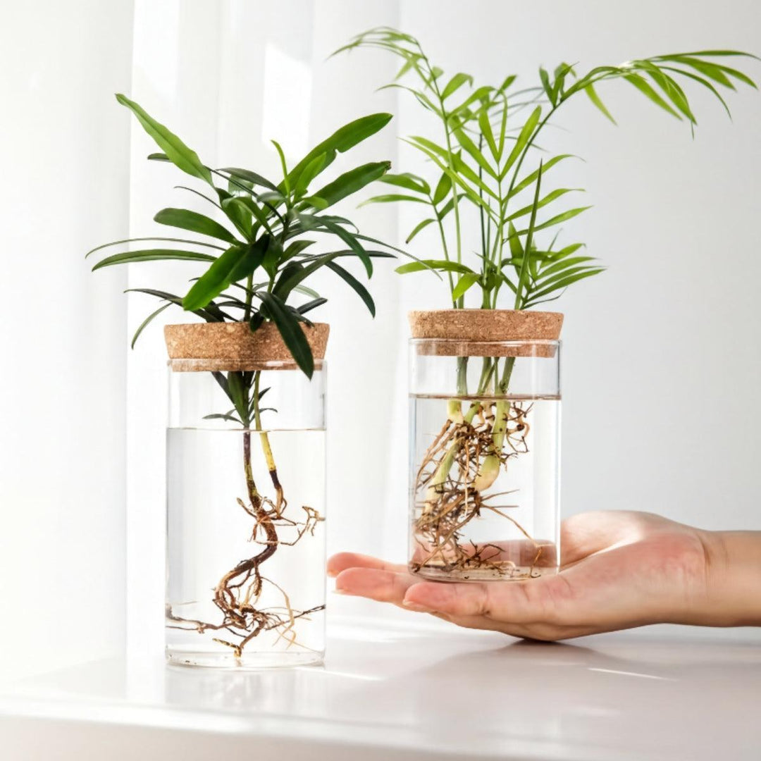 Indoor Planter Hydroponic Propagation Station For Growing Potted Plants Indoors