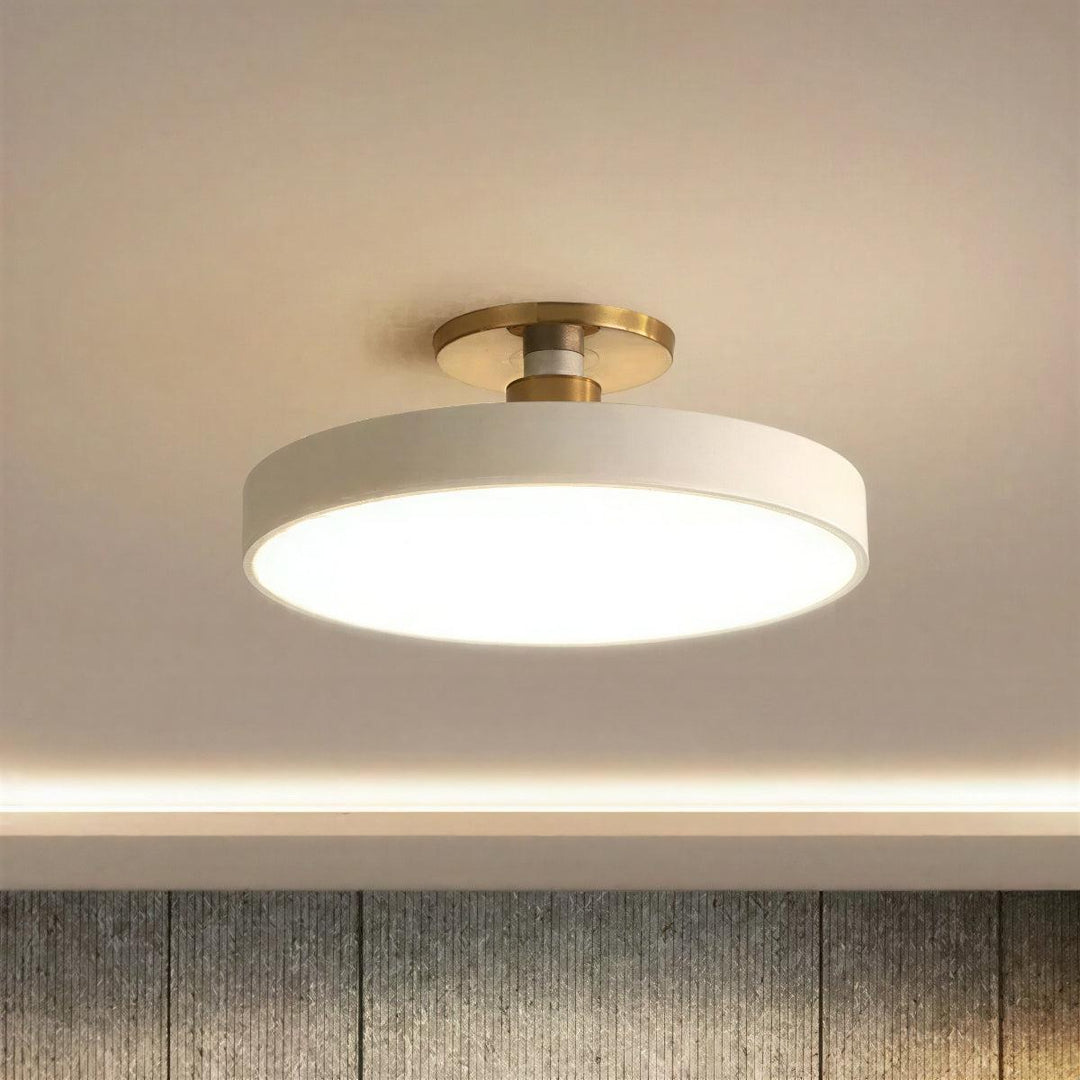 Modern Circular Round Flushmount Ceiling Light Fixture With Nordic Design