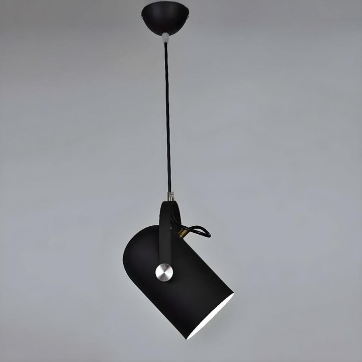 Modern Pendant Light With Adjustable Swivel Shade