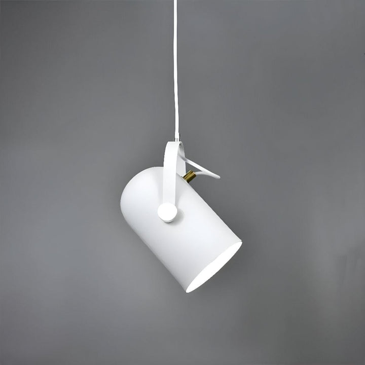 Modern Pendant Light With Adjustable Swivel Shade