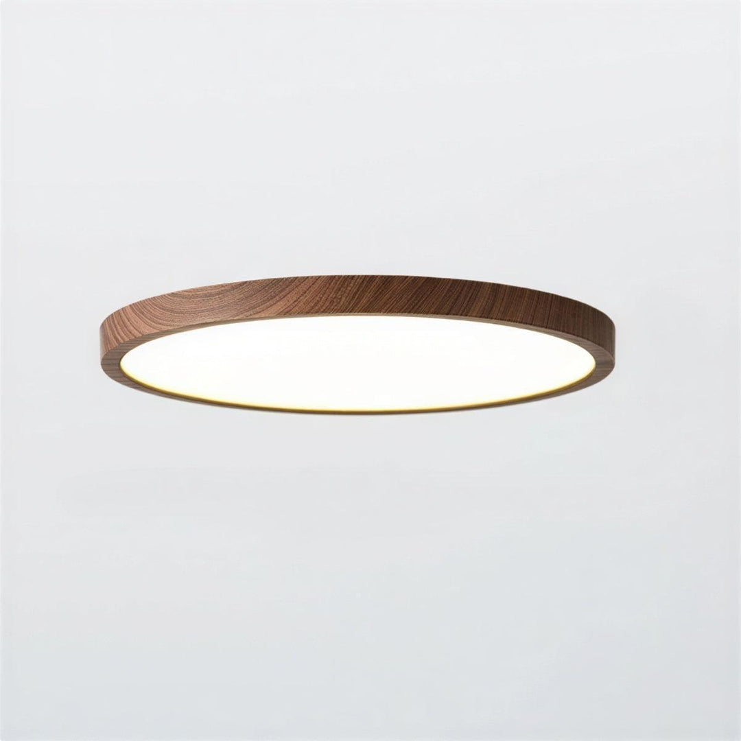 Modern Ultra Thin Circular Flush Mount Ceiling Light With Adjustable Lighting Modes