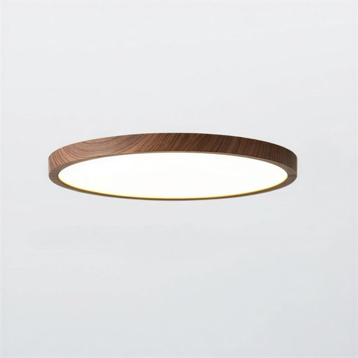 Modern Ultra Thin Circular Flush Mount Ceiling Light With Adjustable Lighting Modes