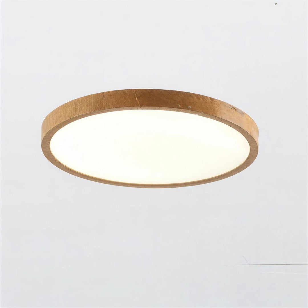 Modern Ultra Thin Circular Flush Mount Ceiling Light With Adjustable Lighting Modes