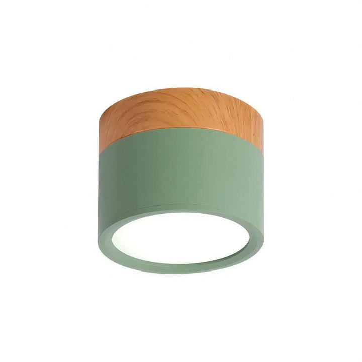 Simple Cylindrical Surface Mounted Ceiling Light Downlight Fixture