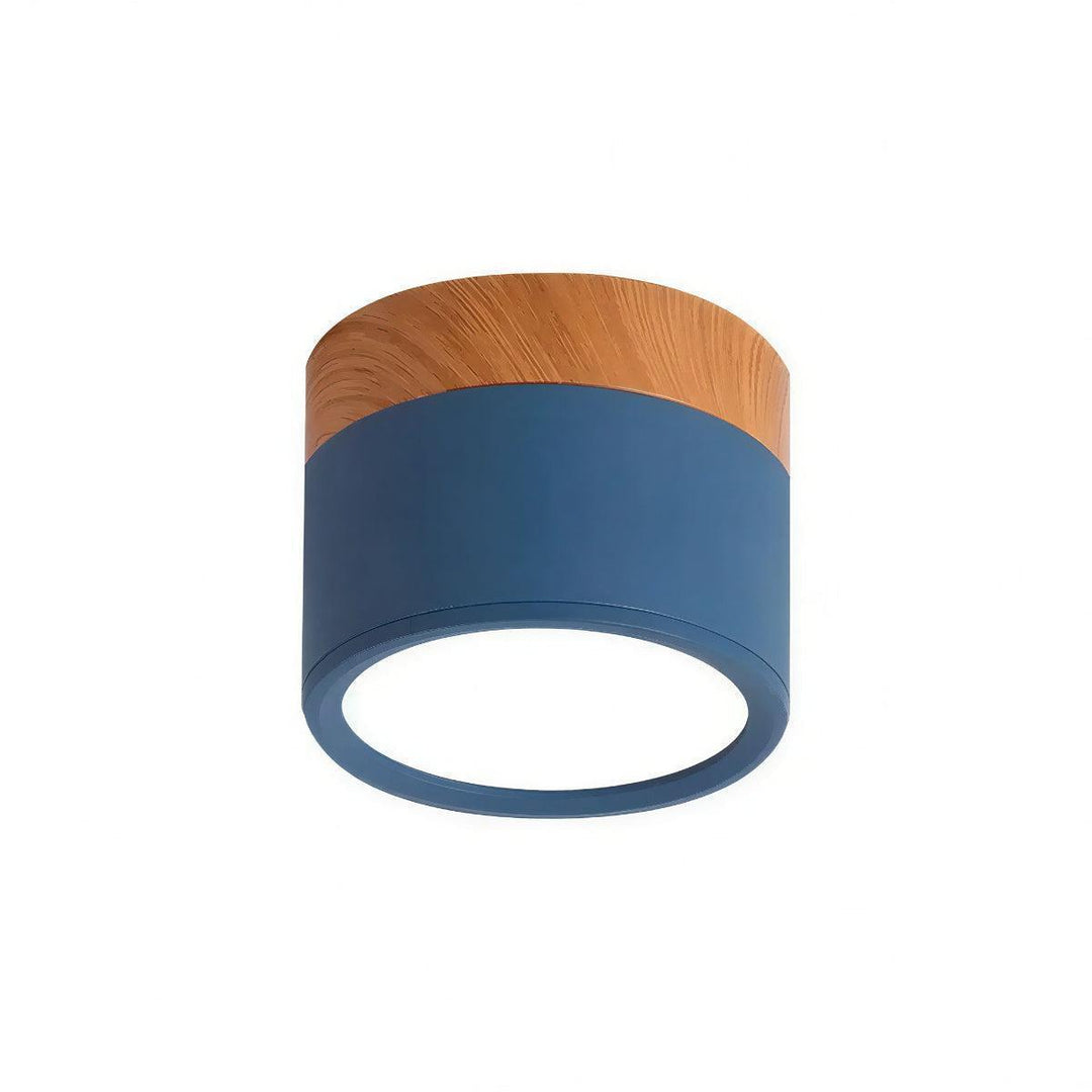 Simple Cylindrical Surface Mounted Ceiling Light Downlight Fixture