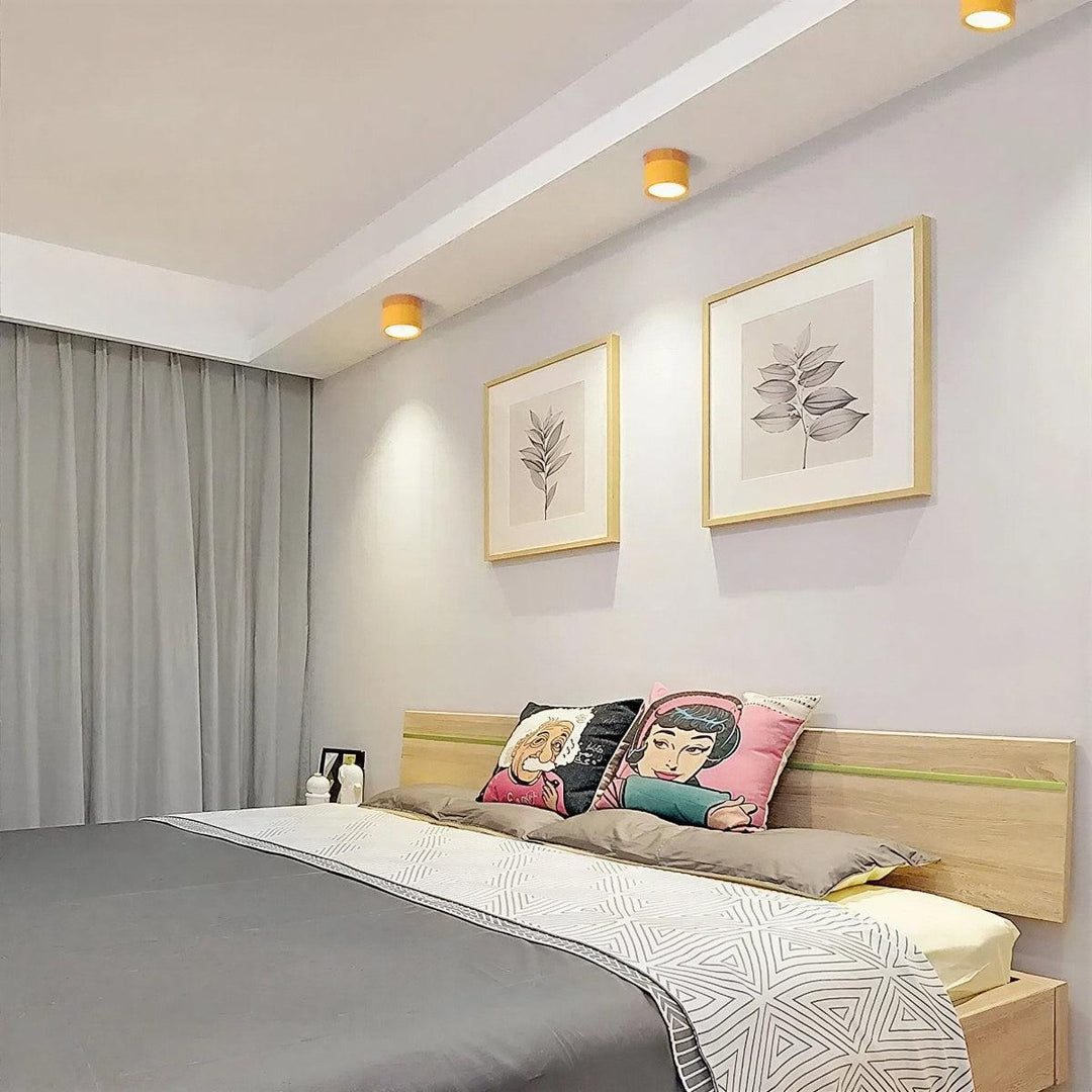 Simple Cylindrical Surface Mounted Ceiling Light Downlight Fixture
