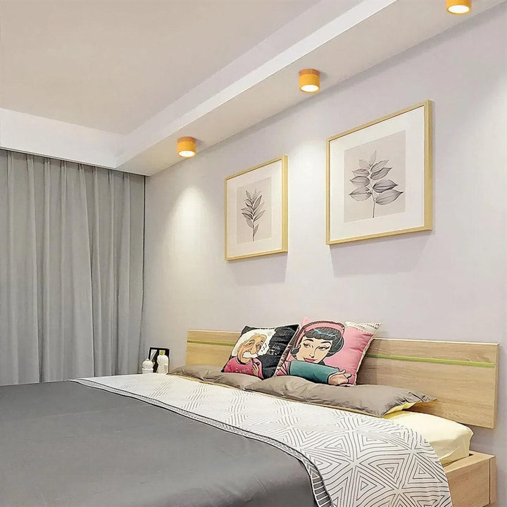 Simple Cylindrical Surface Mounted Ceiling Light Downlight Fixture