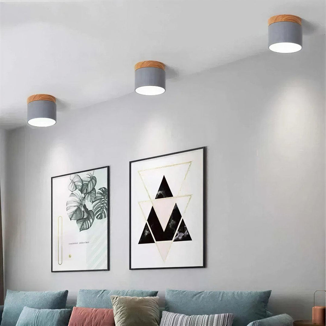 Simple Cylindrical Surface Mounted Ceiling Light Downlight Fixture