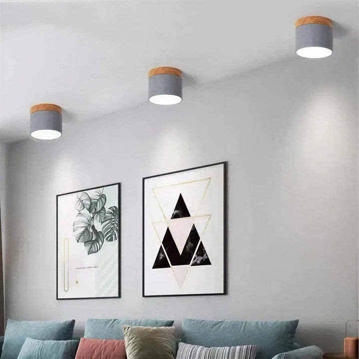 Simple Cylindrical Surface Mounted Ceiling Light Downlight Fixture