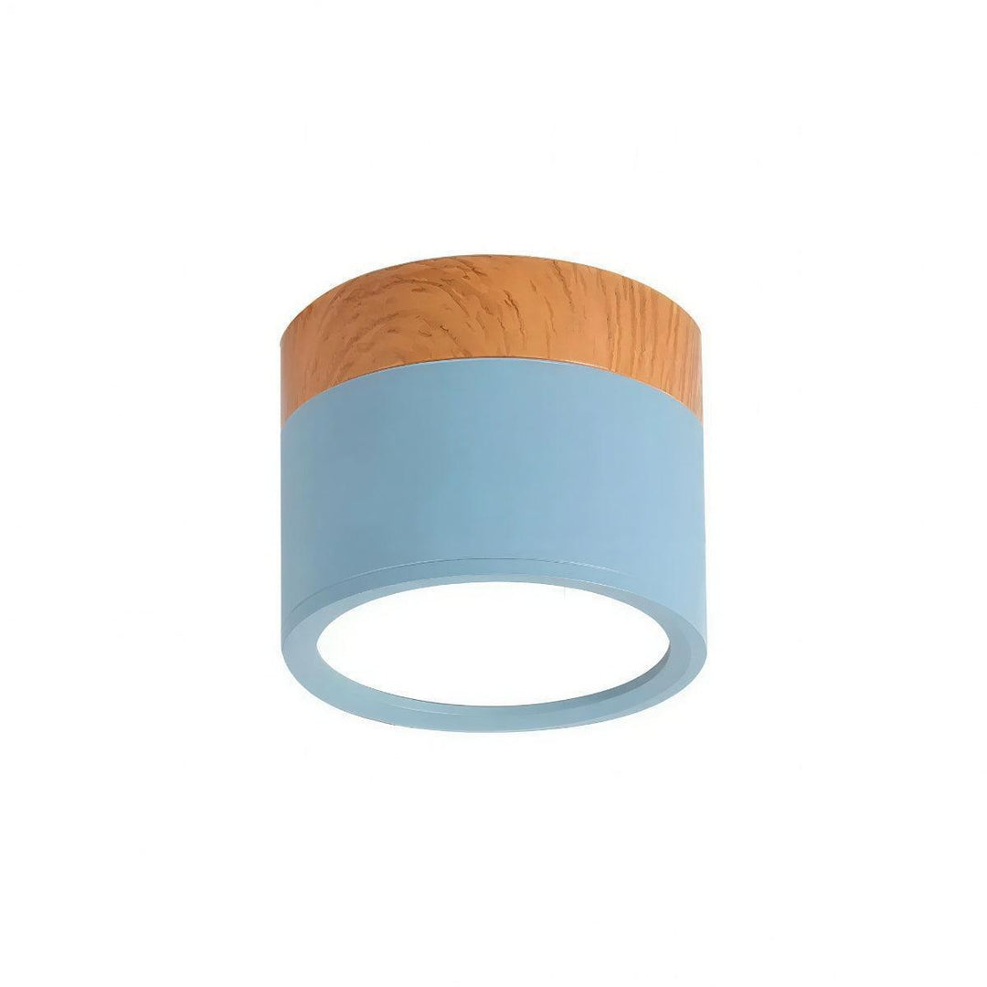 Simple Cylindrical Surface Mounted Ceiling Light Downlight Fixture