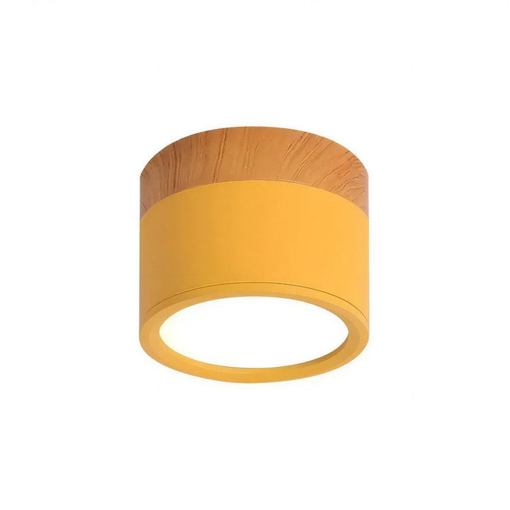 Simple Cylindrical Surface Mounted Ceiling Light Downlight Fixture