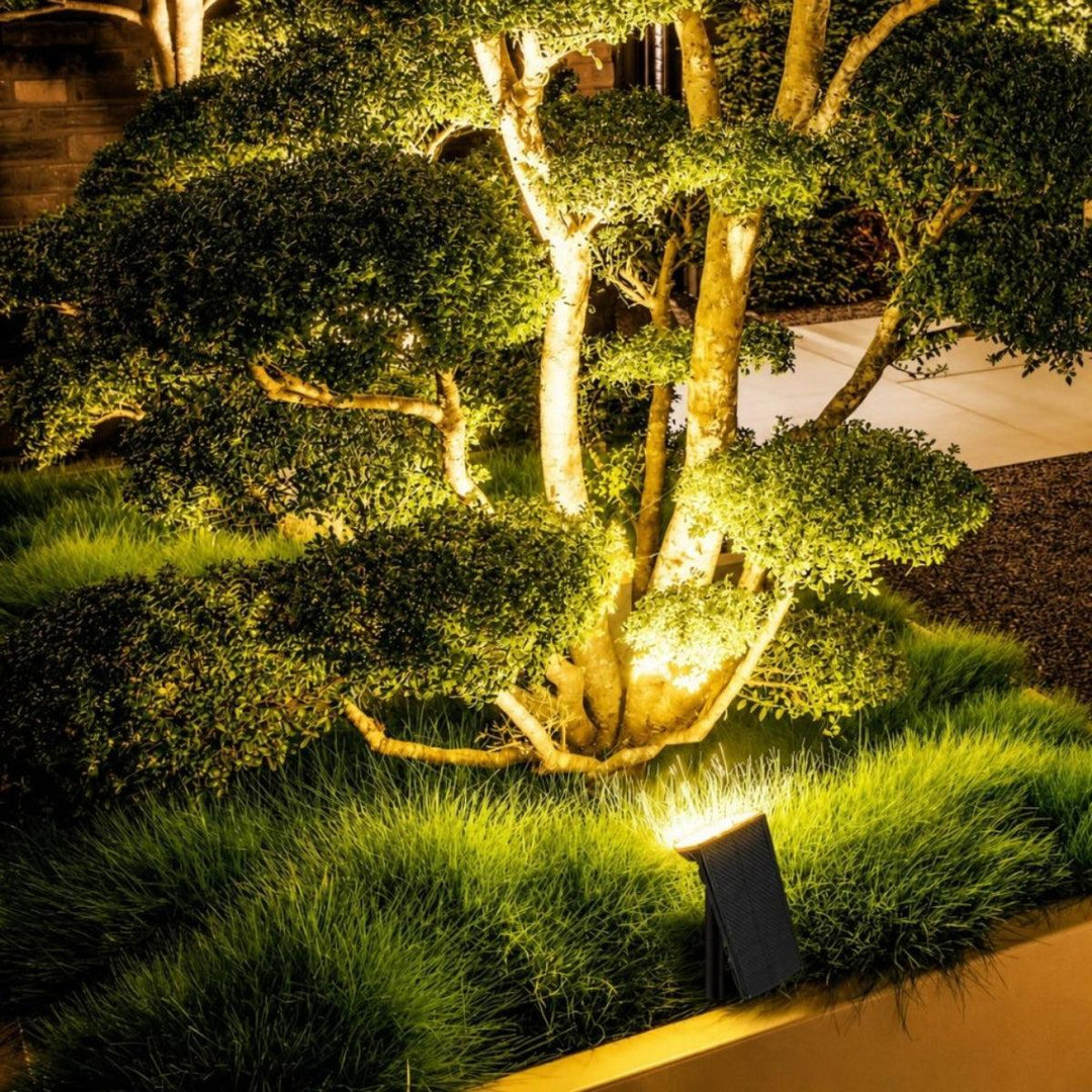 Solar Wall Or Ground Mounted Outdoor Spotlights With Adjustable Head