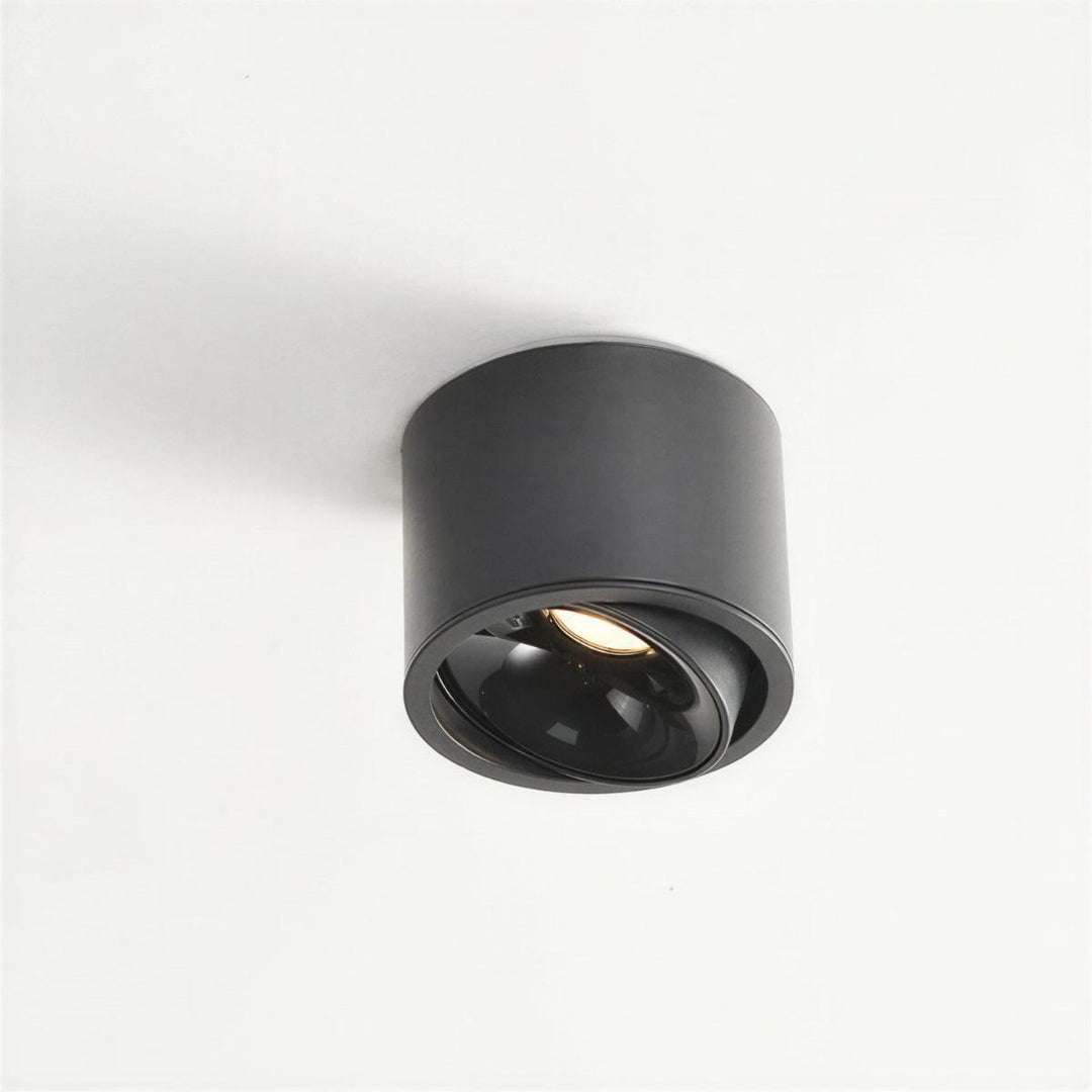 Surface Flush Mount Downlight With Adjustable Spotlight