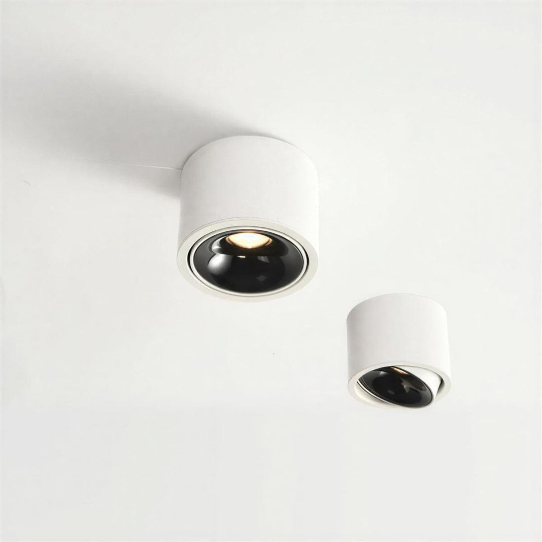 Surface Flush Mount Downlight With Adjustable Spotlight
