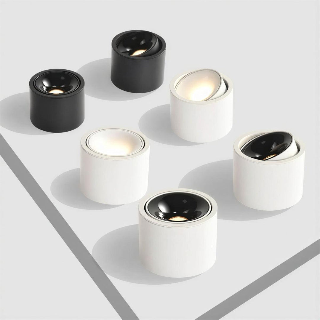 Surface Flush Mount Downlight With Adjustable Spotlight