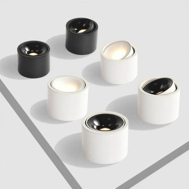 Surface Flush Mount Downlight With Adjustable Spotlight