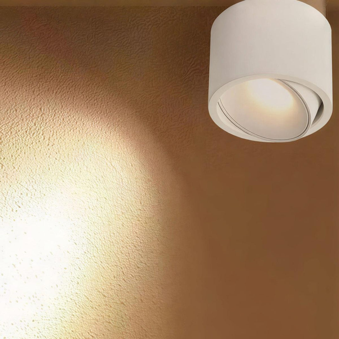 Surface Flush Mount Downlight With Adjustable Spotlight