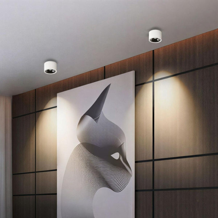 Surface Flush Mount Downlight With Adjustable Spotlight