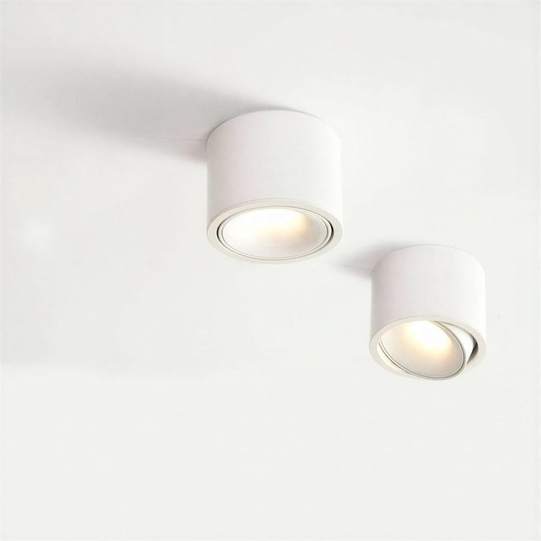Surface Flush Mount Downlight With Adjustable Spotlight