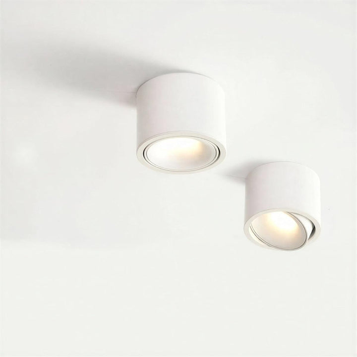 Surface Flush Mount Downlight With Adjustable Spotlight