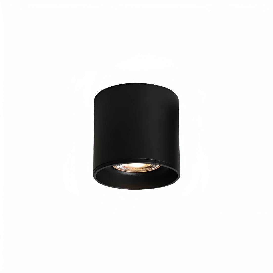 Surface Flush Mounted Downlight With Modern Cylinder Design