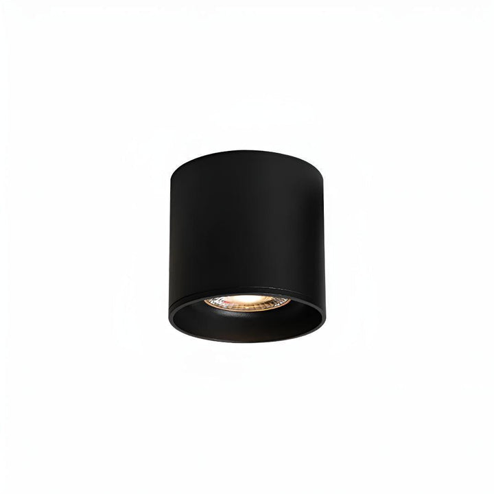 Surface Flush Mounted Downlight With Modern Cylinder Design