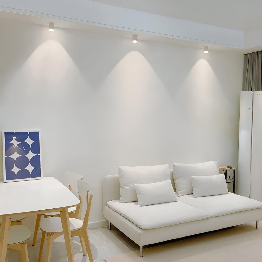 Surface Flush Mounted Downlight With Modern Cylinder Design