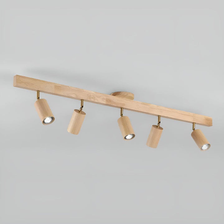 Track Ceiling Light With Adjustable Rotatable Spotlight Heads